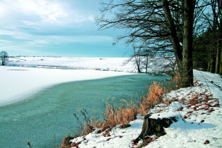 Strážovský rybník nad Zlatomlýnem