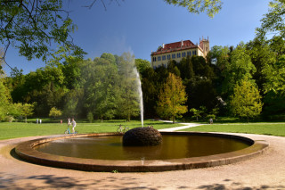 Řekne-li se... Stromovka