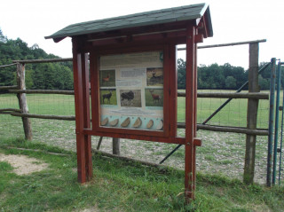 Arboretum Vysoké Chvojno