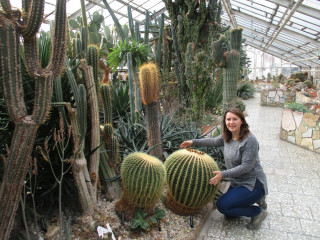 Kaktusový skleník - některé z exemplářů mají rozměry opravdu úctyhodné