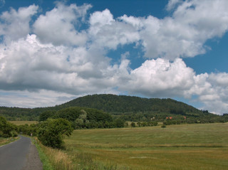 Vladař u Žlutic