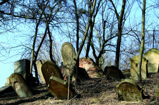 Židovský hřbitov v Bučovicích