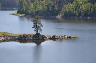 Fotogenická Chudobínská borovice