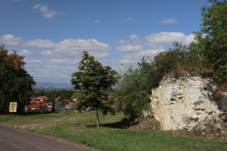 Za třetihorními unikáty do Tuchořic