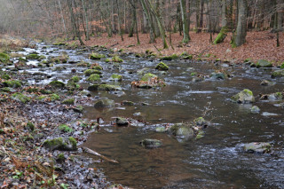 Kamenité řečiště Chrudimky