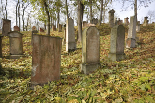 Židovský hřbitov u Drahonic.