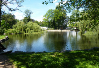 Zámecký rybník, vzadu uprostřed nová výusť
