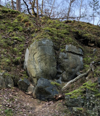 Dvoumetrový valoun usazený v jedné z příbojových kapes v Přírodní památce Ládví se odlišuje od rostlé skály tvarem i barvou.