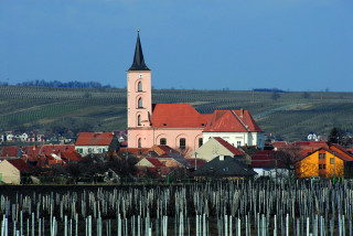 Kostel a jarní vinice