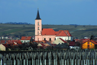 Do Velkých Bílovic nejen za vínem