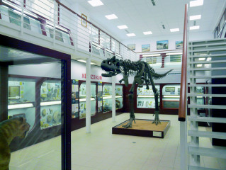 Carnotaurus v Praze
