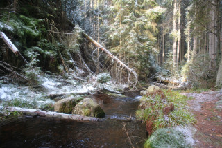 Po stopách šumavského obra