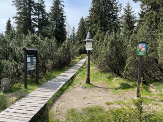 K vrchovišti míří povalový chodníček.