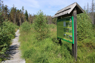 Naučná stezka rašeliništěm je oboustranná a měří zhruba 400 metrů.