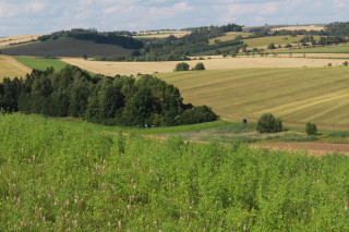 Hrad obklopuje malebná krajina přírodního parku Svratecká hornatina.