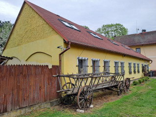 Žebřiňák na dvoře muzea