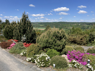 Pestré arboretum – stromy a stromky, rozkvetlé polštáře, daleké výhledy