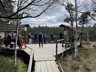 Vyhlídková plošina nad jezírkem