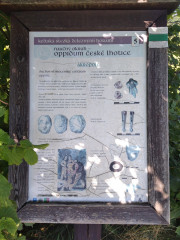 Naučná stezka návštěvníky provede po keltském oppidu.