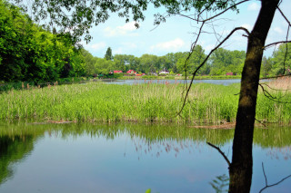 Mlýnský rybník