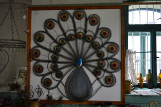 Páva Dana udělala ještě coby učednice.