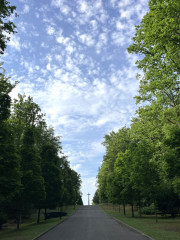 Do lesa zvláštního určení