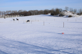 Nad pastvinami vystupují skalky přírodní památky Pazderna. 