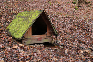 Znám křišťálovou studánku…
