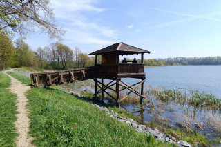 Poodří
