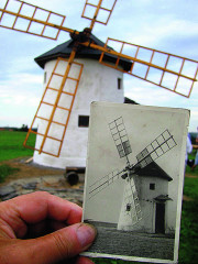 Výsledek záchrany větrného mlýna bylo možné
porovnat s historickou pohlednicí.