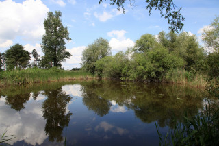 Národní přírodní památka V jezírkách u Velimi (okres Kolín)