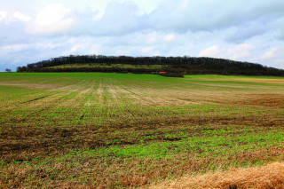 Svědecký kopec Chotuc