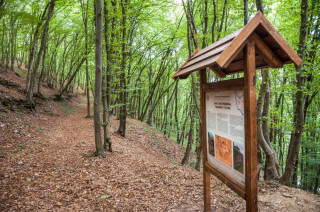 Stezka vede i ve stráni nad údolím Sázavy, přímo kolem někdejších muničních skladů.