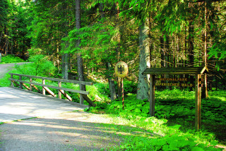 Ludwigsthal - ráj divočiny kousek za hranicí