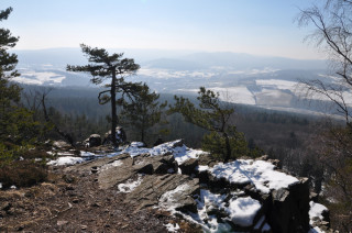 Plešivec v Brdech