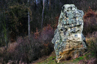 Podlešínská skalní jehla je zbudována
ze specifického druhu pískovce, tzv. ledecké arkózy.