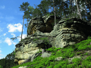 Typická skalní scenérie z Maštalí – čerstvě odlesněná část rokle Karálky
Turista