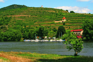 K nejznámějším viničním tratím Velkých Žernosek patří
Malá a Velká Vendule (Vendula).