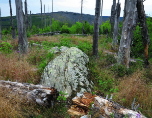 Vrcholový hřebínek
Sieben Steinkopf – Sedmiskalí