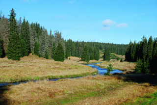 Údolí Roklanského potoka