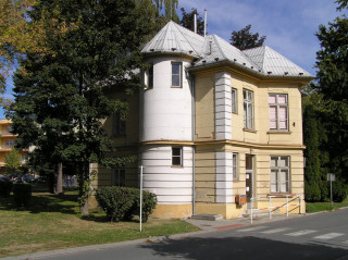 Muzeum ošetřovatelství a Muzeum patologie