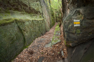 Trasa žluté turistické značky ve skalách kolem Hradska.