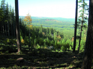 Pohled ze severního svahu Třemošné na Klobouček (703 m) a Tok (vlevo, 865 m).