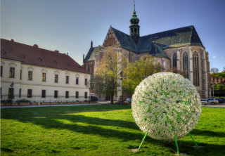  Pulihrášek představuje obří semeno hrachu, Mendelovy výsostné výzkumné plodiny. Je složen ze starobrněnských půllitrů a po setmění září zeleným světlem. Na Mendelově náměstí je k vidění od jara do podzimu, zimu vždy přečká v teple pivovarských interiérů. 