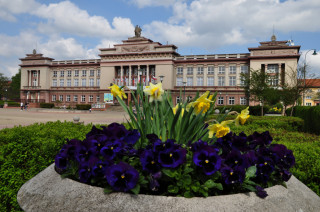 Květinové aranžmá před Domem kultury